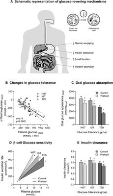 Impact of Nutrient Type and Sequence on Glucose Tolerance: Physiological Insights and Therapeutic Implications